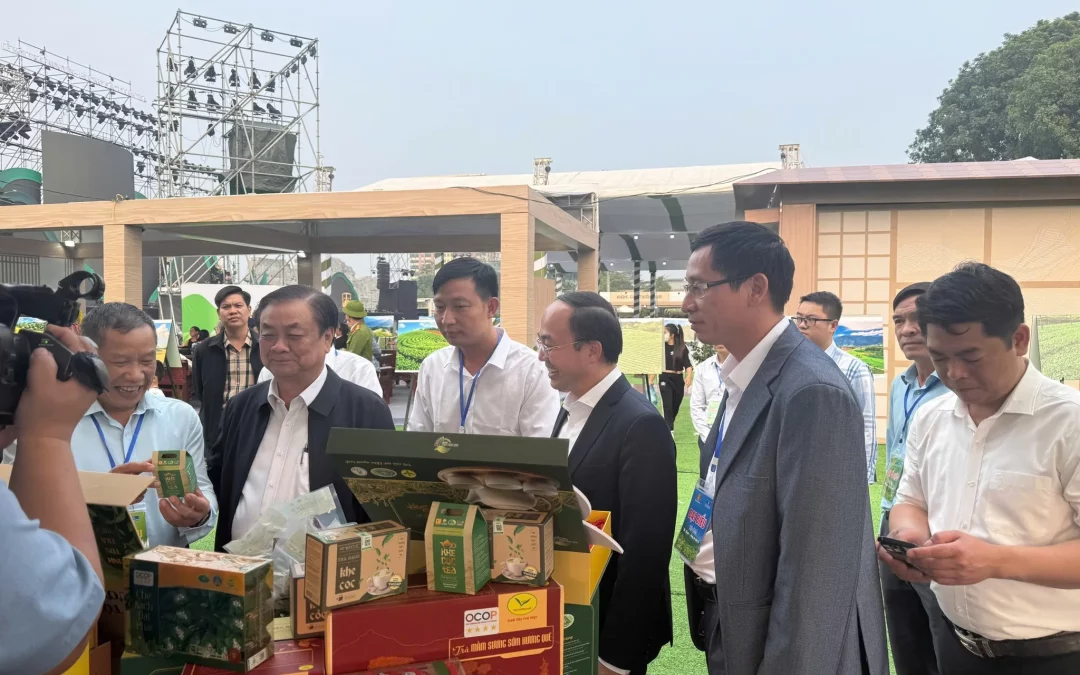 Người ‘tiên phong’ trồng chè organic ở Thái Nguyên