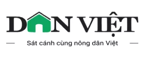 DV